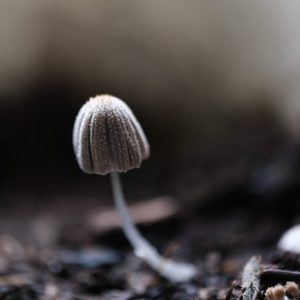 IMG-20240723-WA0001